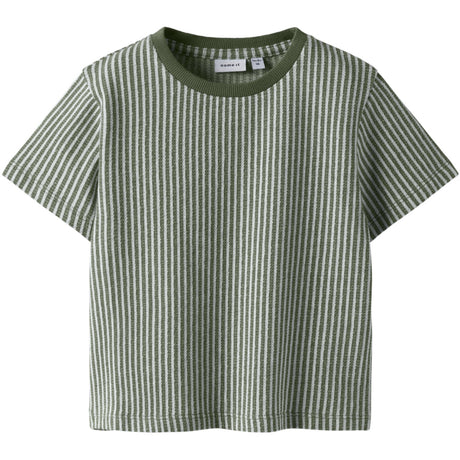 Name It Olivine Nmmhans Ss Nreg Top Pb