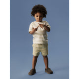Name It Swamp Nmmjesper Nreg Shorts Box Pb