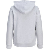 Jack & Jones Junior White Melange Jjcollege Logo Sweat Hood Jnr