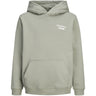 Jack & Jones Junior Seagrass Jornorrebro Typo Back Sweat Hood Sn Jnr