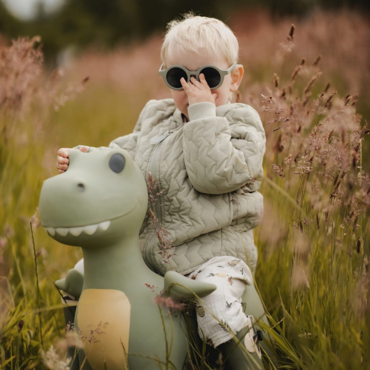 Find that Hippo Hoppe-Dyr - Dexter Dino