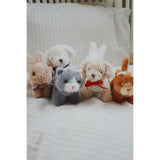 Konges Sløjd Grey Cat Baby Animals