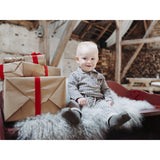 Hust & Claire Biscuit Gordon Check