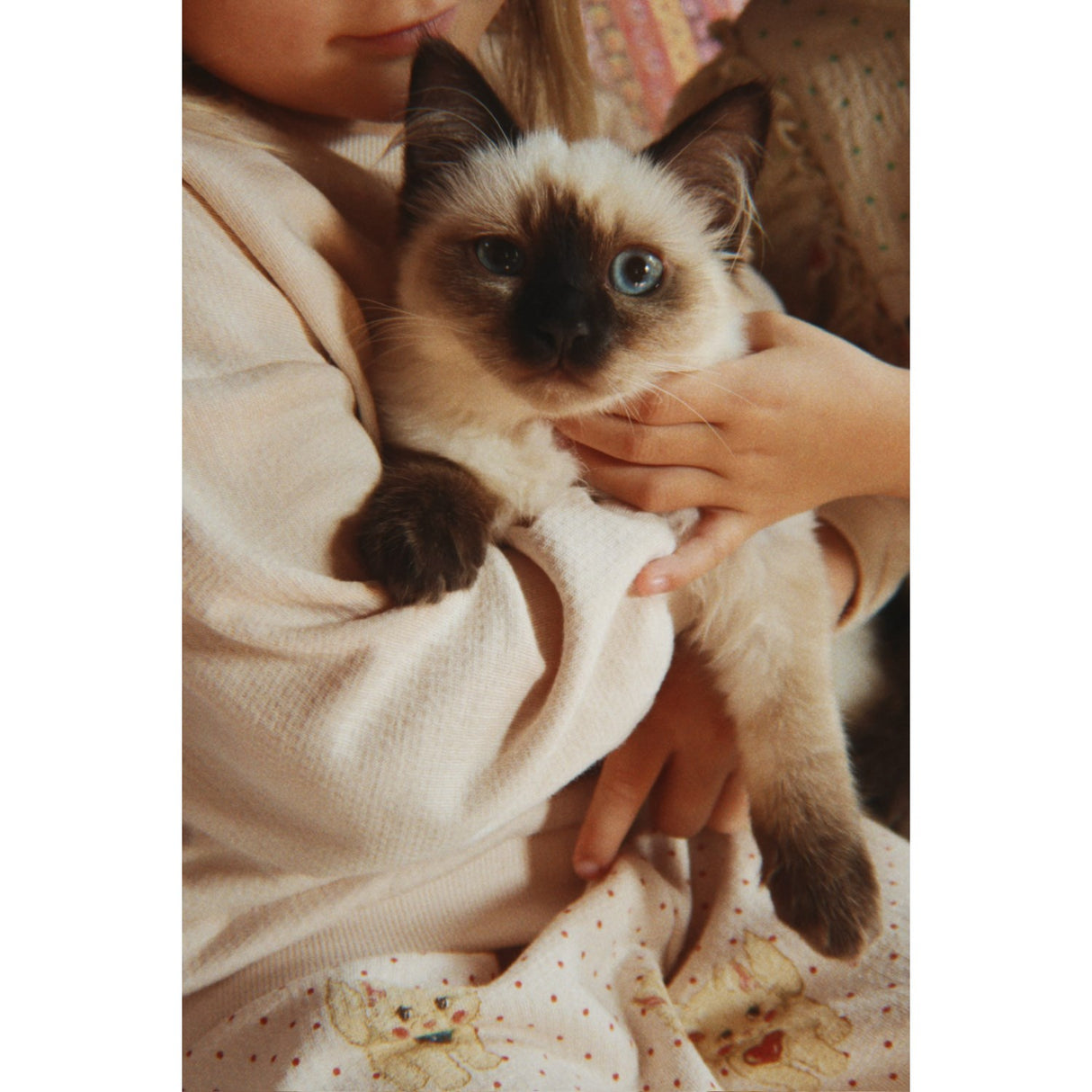 Konges Sløjd Whisper Pink Belli Sweatshirt Ocs