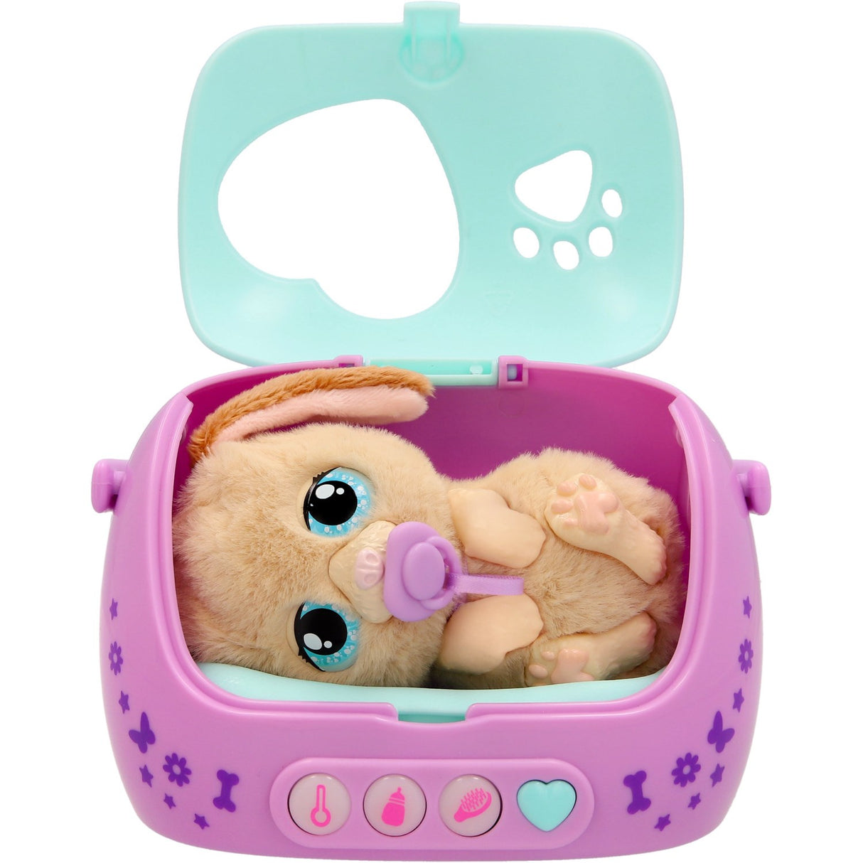 Baby Paws Just Born Puppy