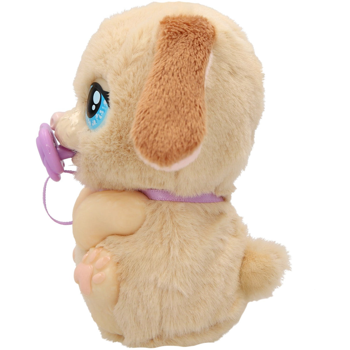 Baby Paws Just Born Puppy