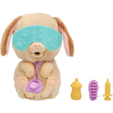 Baby Paws Just Born Puppy