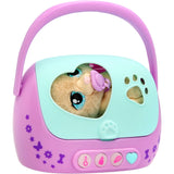 Baby Paws Just Born Puppy