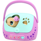 Baby Paws Just Born Puppy