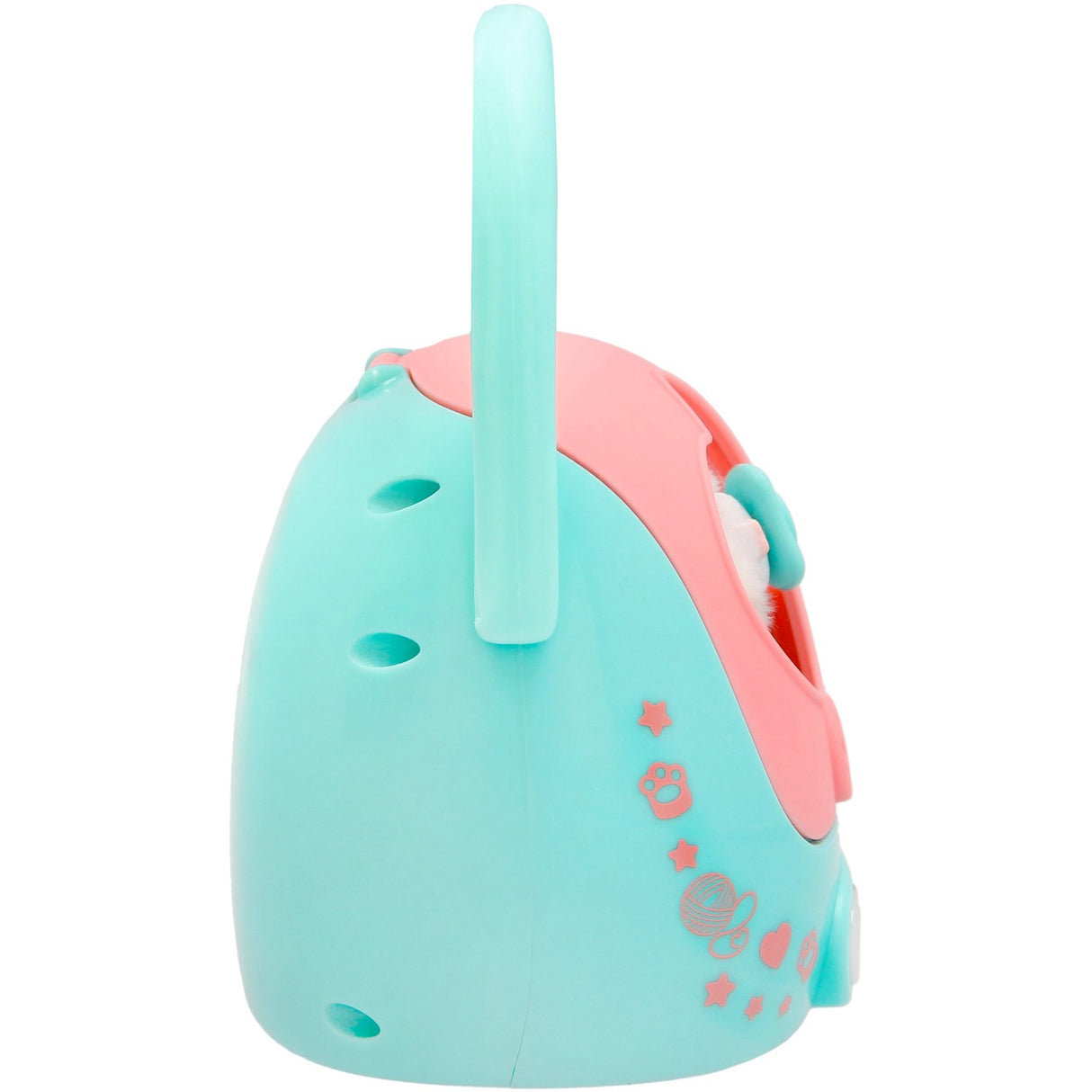 Baby Paws Just Born Cat