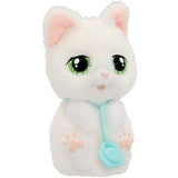 Baby Paws Just Born Cat