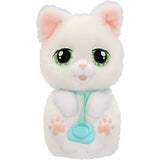 Baby Paws Just Born Cat