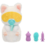 Baby Paws Just Born Cat