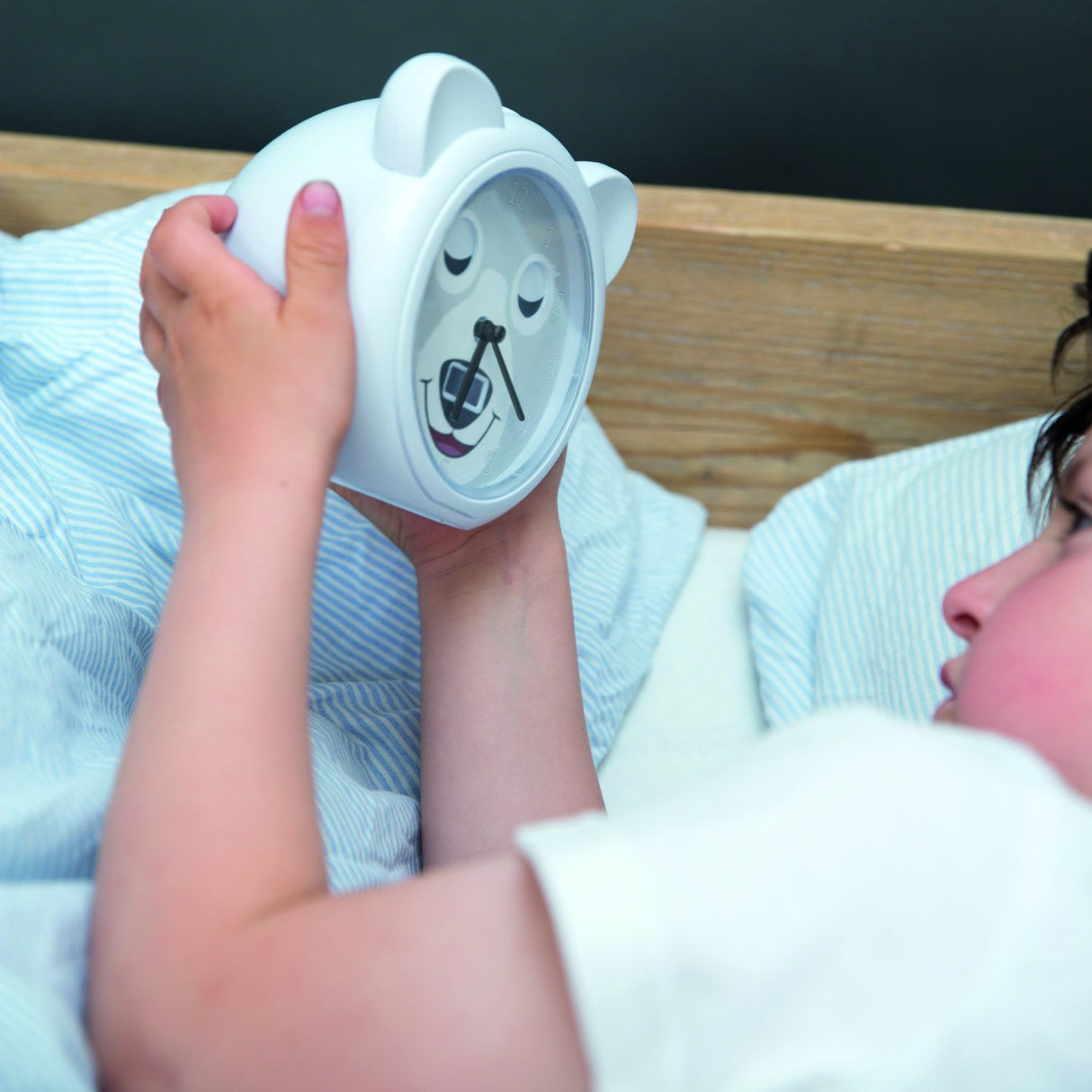 Zazu Grey Bobby The Bear Sleeptrainer