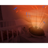 Zazu Brown Tim The Turtle Projector