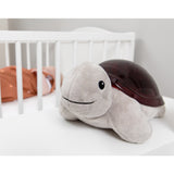 Zazu Brown Tim The Turtle Projector