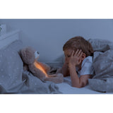 Zazu Brown Brody The Bear Sleeptrainer