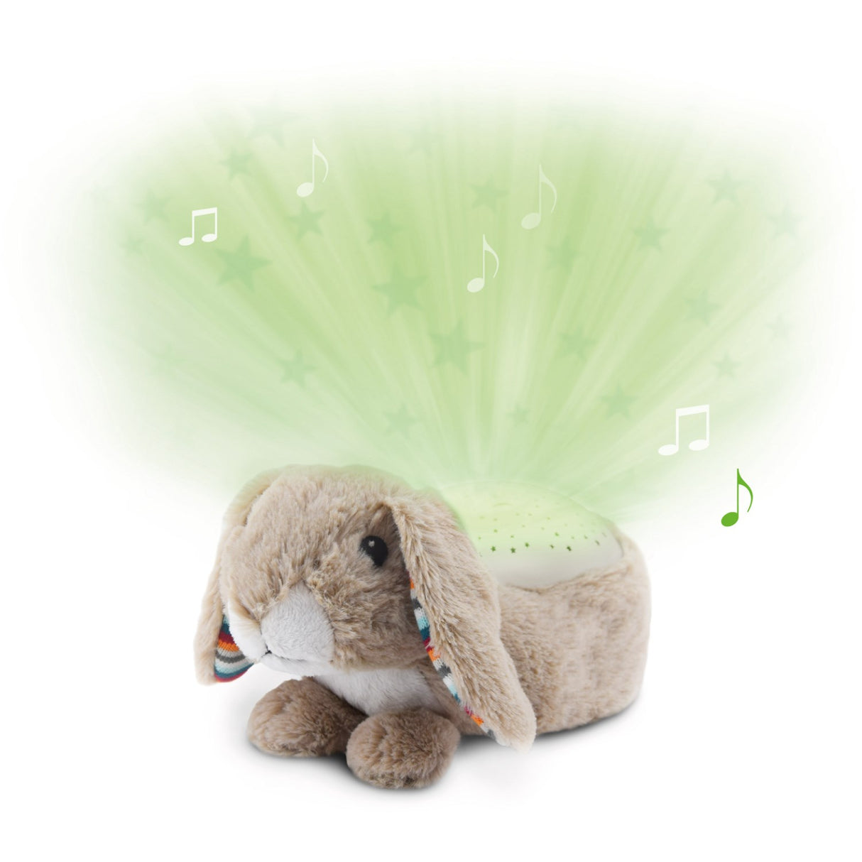 Zazu Brown Ruby The Rabbit Projector