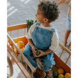 Fliink Medium Denim Blue Don Contrast Overall