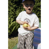 Fliink Zebra Aop Duna Zebra Pants