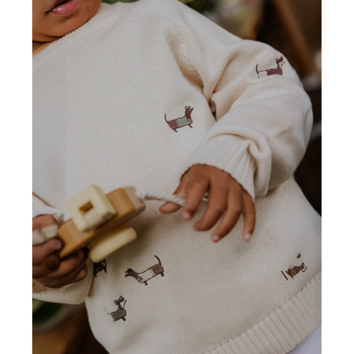 Fliink Sandshell Mahdi Dog Pullover