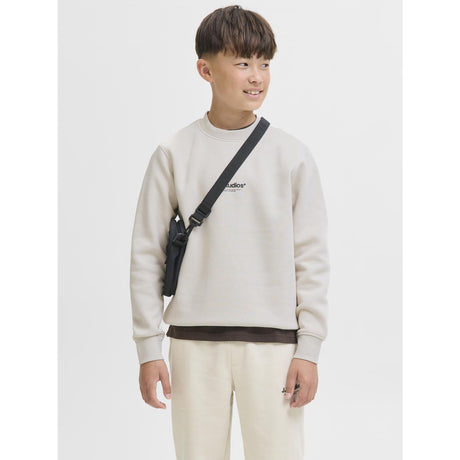 Jack & Jones Junior Moonbeam Jjesoho Sweat Crew Neck Sn Jnr