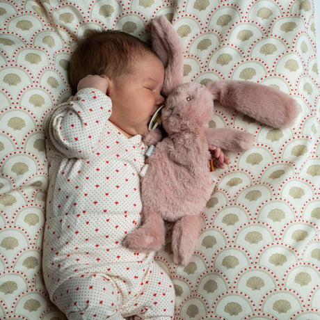 That's Mine Rose Houston Heavy Teddy Mini