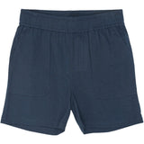 The New Navy Blazer Tntim Shorts
