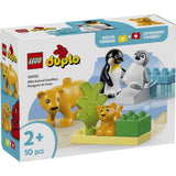 LEGO® DUPLO Town - Vilde Dyrefamilier: Pingviner And Løver 10442