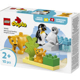 LEGO® DUPLO Town - Vilde Dyrefamilier: Pingviner And Løver 10442