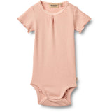 Wheat Rose Cloud Rib Body S/S Edna