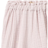 Wheat Purple Light Flowers Pants Petrine