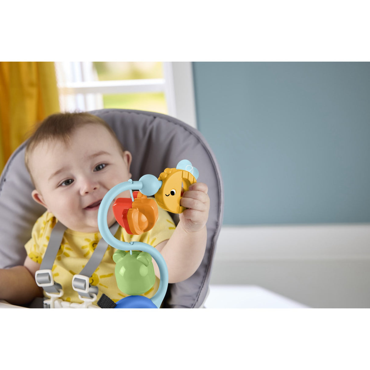 Fisher-Price® Nyfødt Sugekop Toy