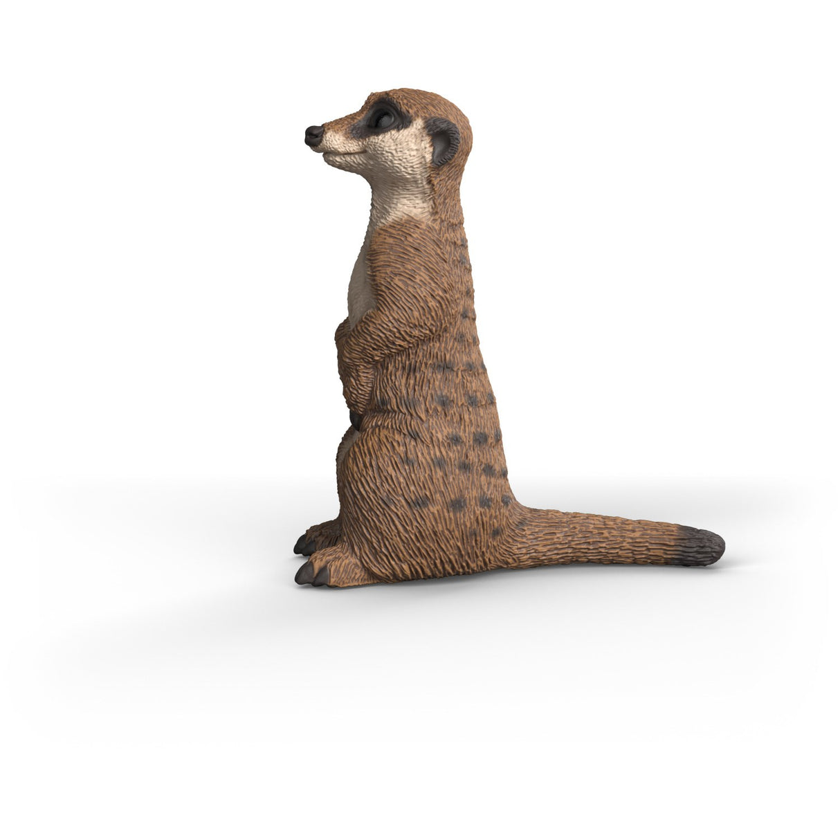 Schleich Meerkat
