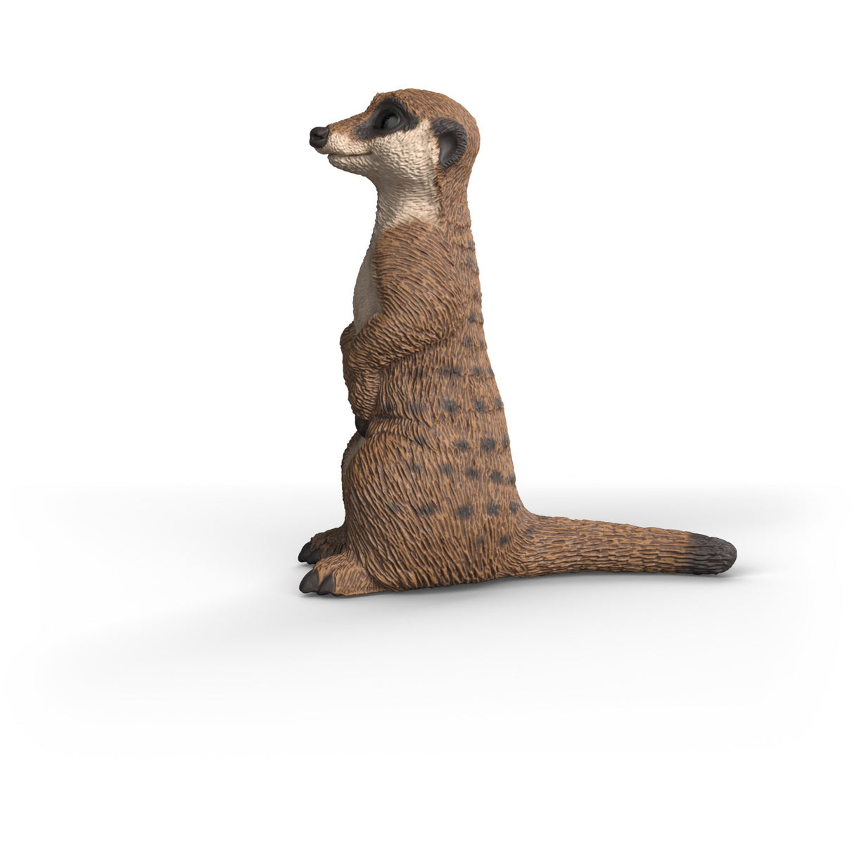 Schleich Meerkat