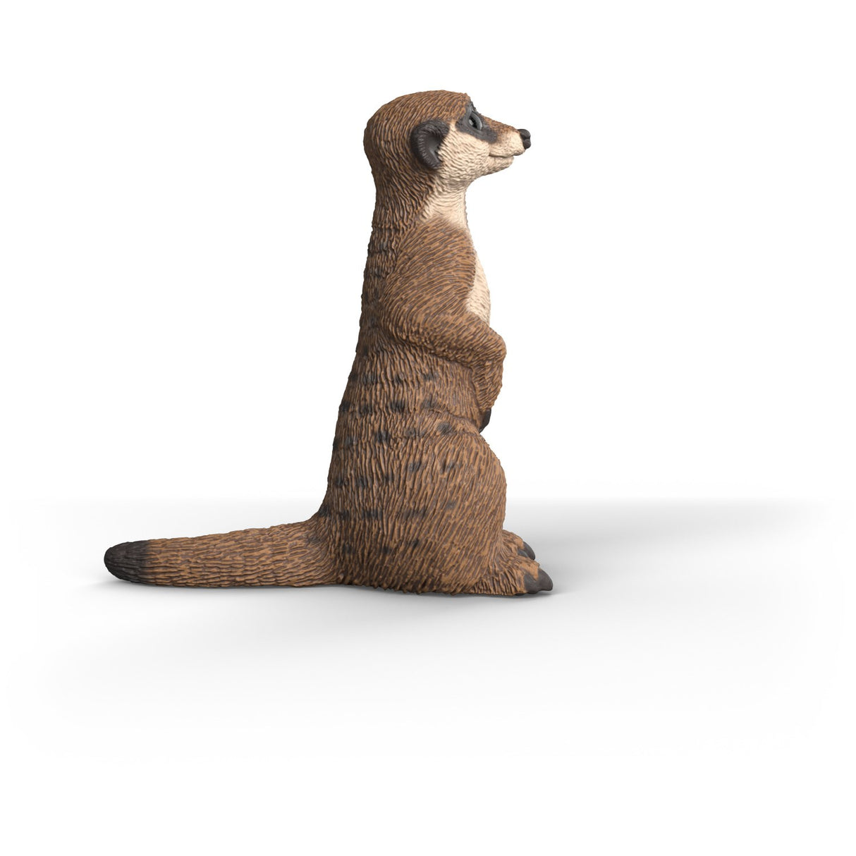 Schleich Meerkat