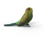Schleich Budgie