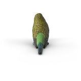 Schleich Budgie