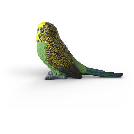 Schleich Budgie