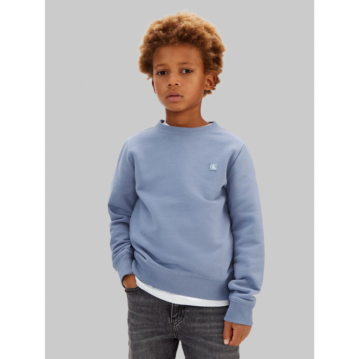 Calvin Klein Infinity Mini Badge Reg Sweatshirt