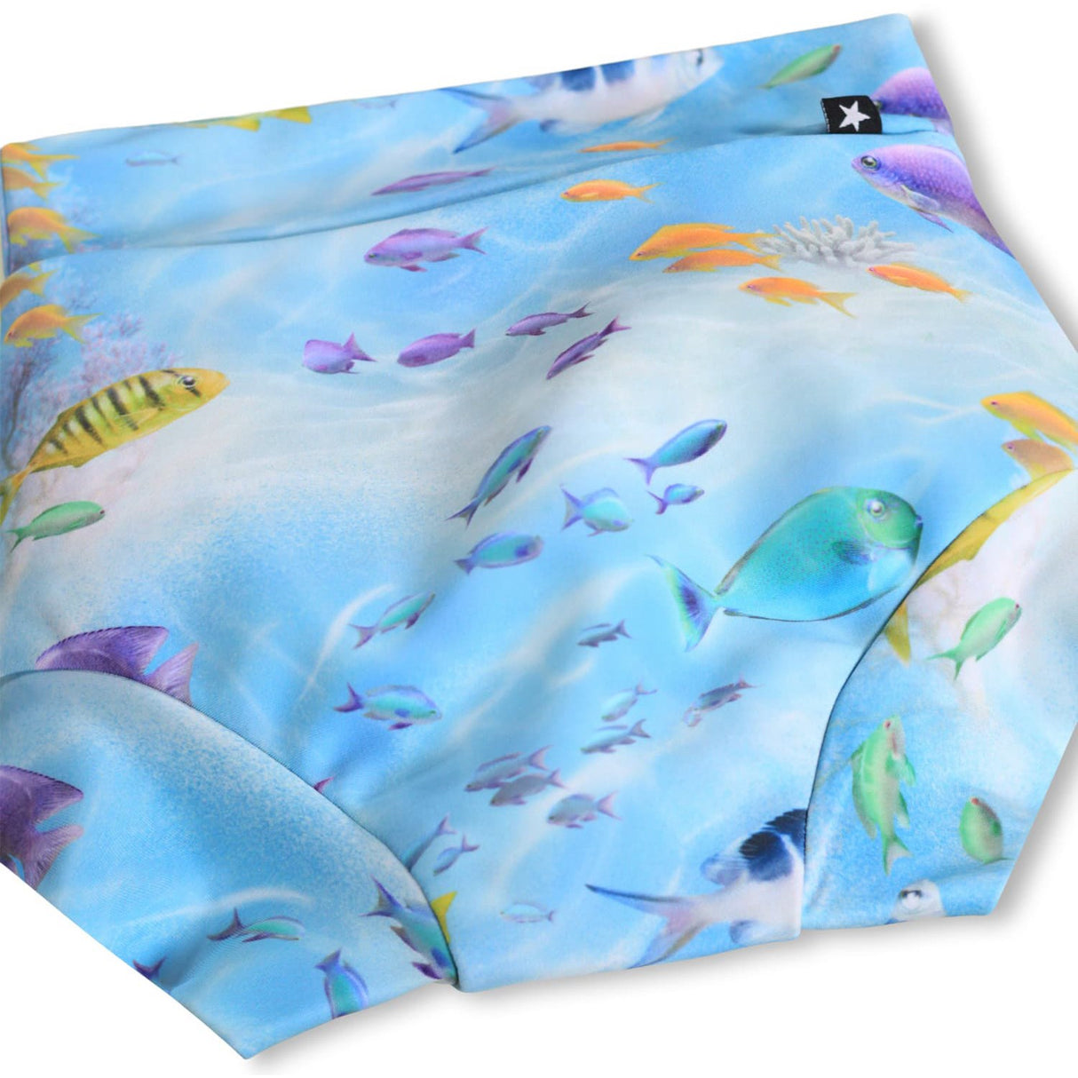 Molo Rainbow Sea Nick Swim Shorts