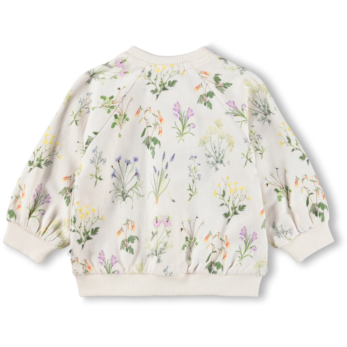 Molo Primavera Daphne Sweatshirt