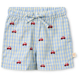 Flöss Blue Gingham Albert Shorts