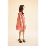 Flöss Red-pink Berry Gingham Molly Pineberry Dress