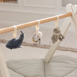 Sebra Green Frog/Bee/Snail Activity Toys 3-Pack