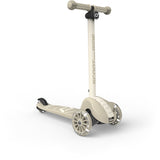 Scoot and Ride Ash Highwaykick 3S