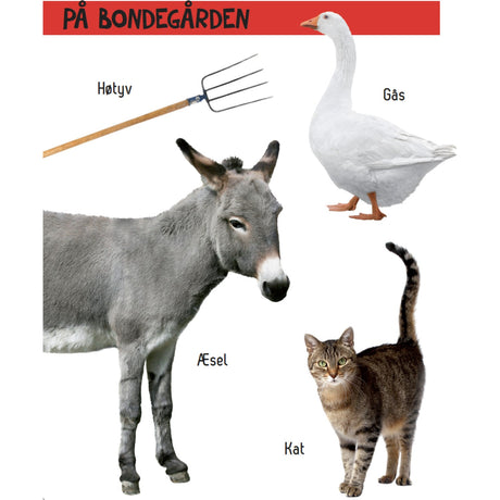 Forlaget Tukan Kig Engang - Hvad Er Det? Bondegård