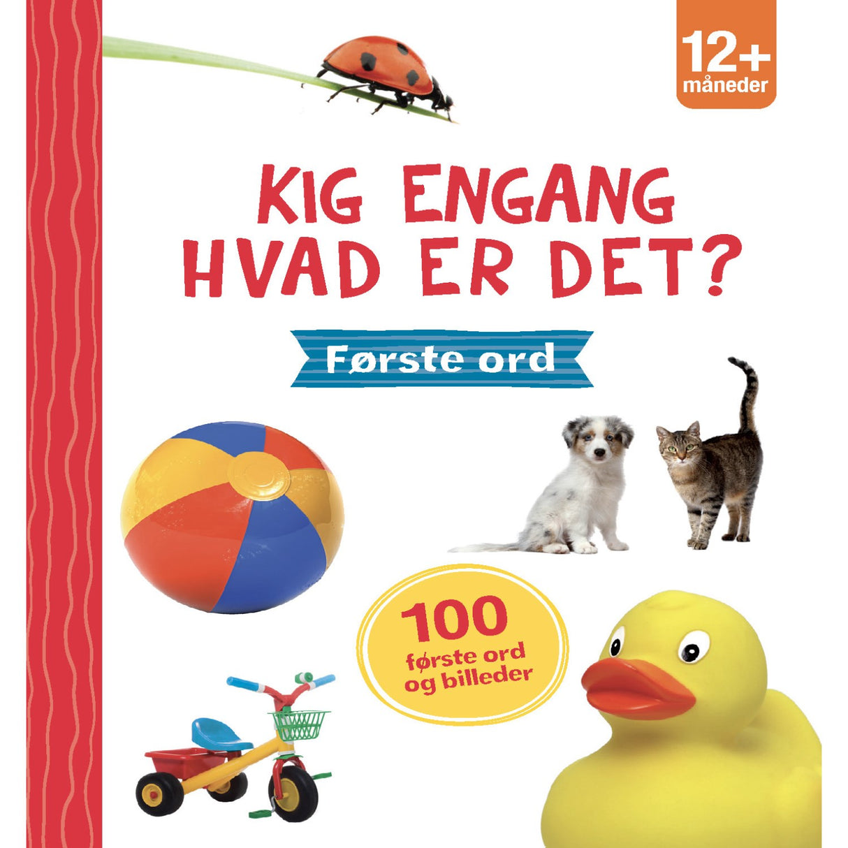 Forlaget Tukan Kig Engang - Hvad Er Det? Første Ord