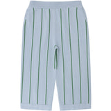 FUB Pale Blue/Pine Striped Pants