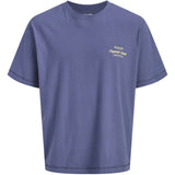 Jack & Jones Junior Crown Blue Jornorrebro Typo Tee Ss Crew Neck Sn Jnr